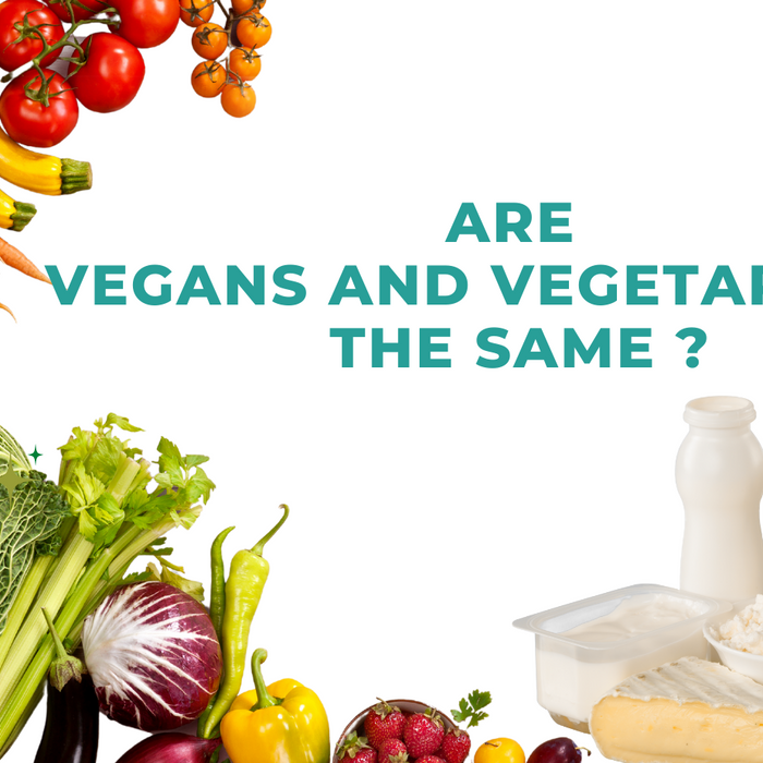 Vegan vs Vegetarian: Same or Different?