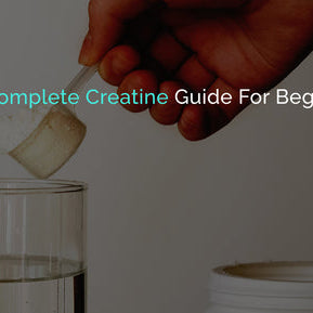 how to take creatine for beginners