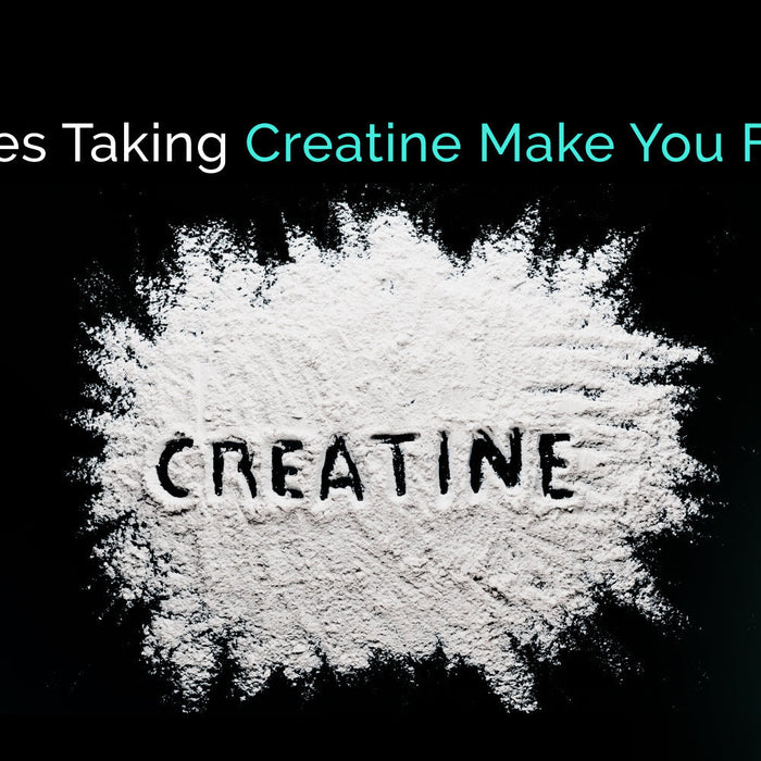Does creatine make you gain weight