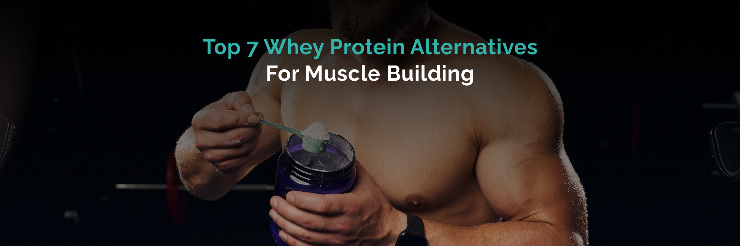 Top 7 Whey Protein Alternatives for Muscle Building in 2025