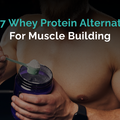 Top 7 Whey Protein Alternatives for Muscle Building in 2025