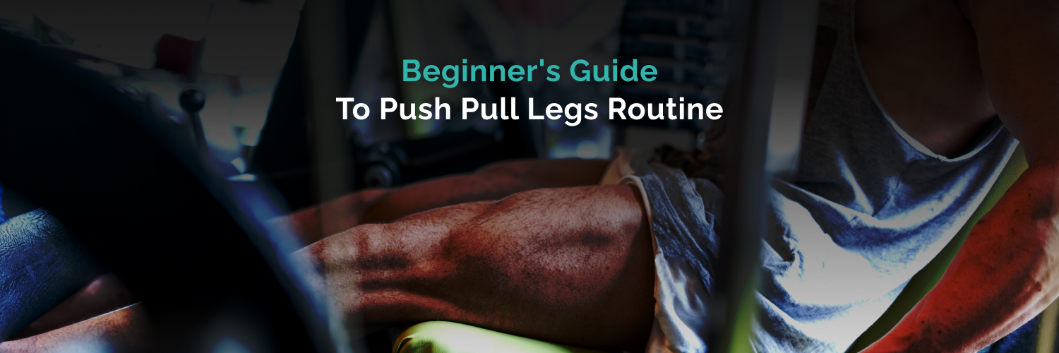 Beginner's Guide to the Push Pull Legs Routine (With Weekly Plan)