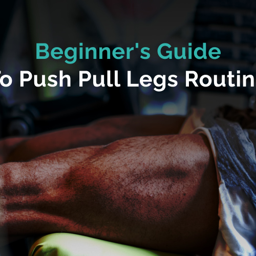 Beginner's Guide to the Push Pull Legs Routine (With Weekly Plan)