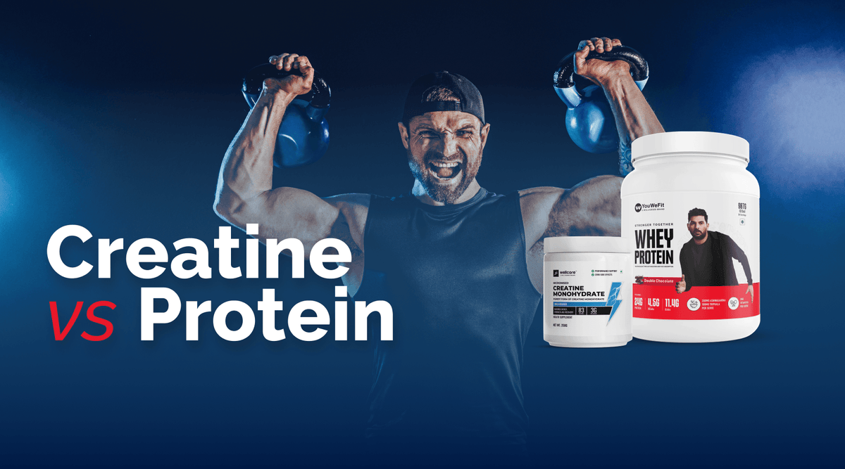 Creatine vs. Protein: Unpacking the Powerhouses of Muscle Building ...