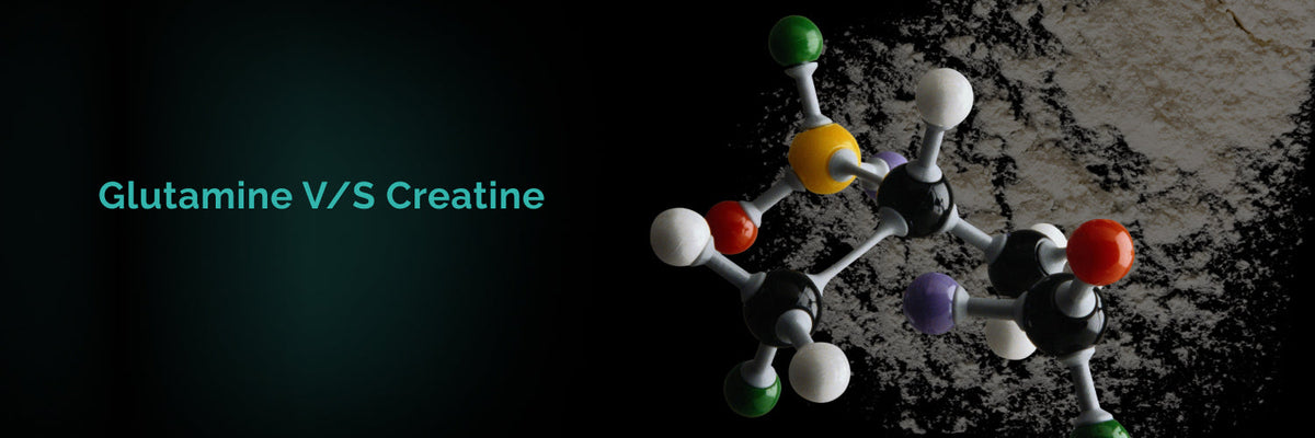 puritan's pride l carnitine puritan's pride acetyl l carnitine free form Carlyle Acetyl L-Carnitine HCL | 500mg puritan's pride l carnitine puritan's pride acetyl l carnitine free form Carlyle Acetyl L-Carnitine HCL | 500mg