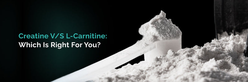 Creatine vs L-Carnitine: Benefits and Key Differences Wellversed Creatine vs L-Carnitine: Benefits and Key Differences Wellversed