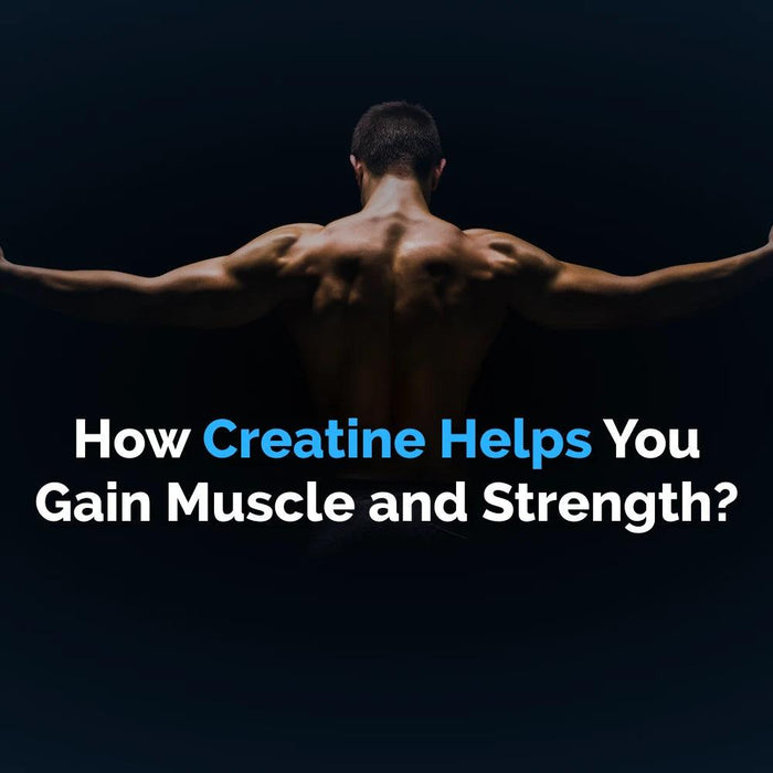 How Creatine Helps You Gain Muscle and Strength?