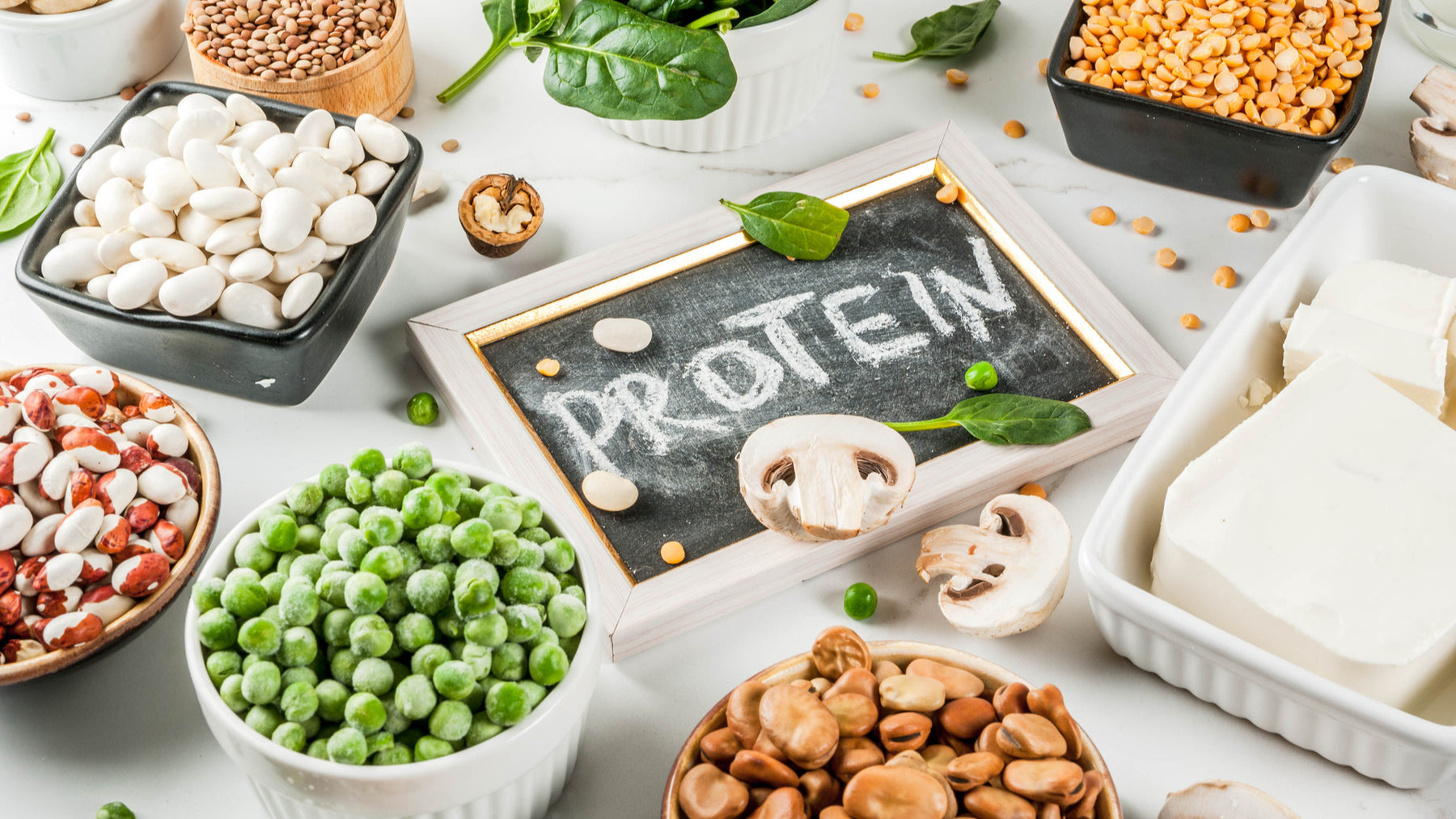 What is the Role of Protein in a Keto Diet
