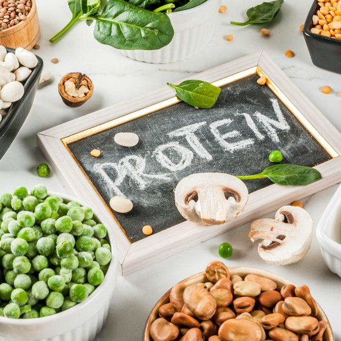 What is the Role of Protein in a Keto Diet