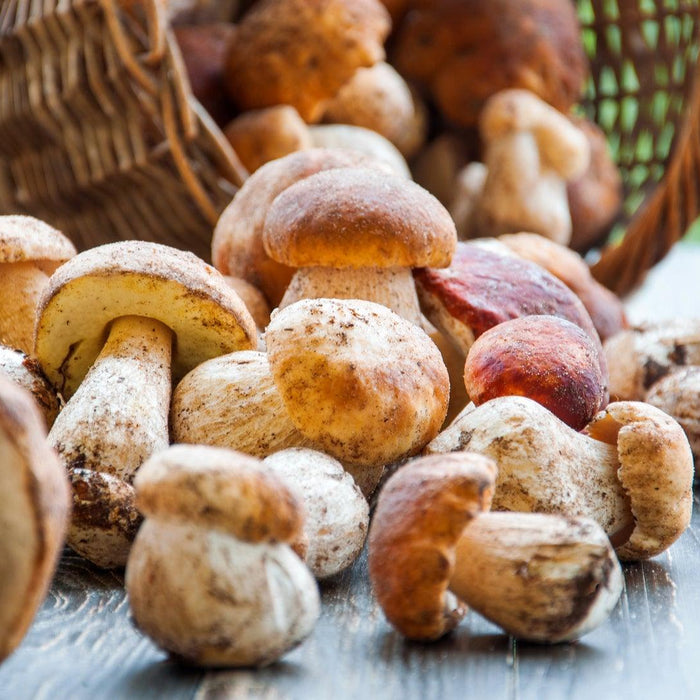 Are Mushrooms Keto Friendly?