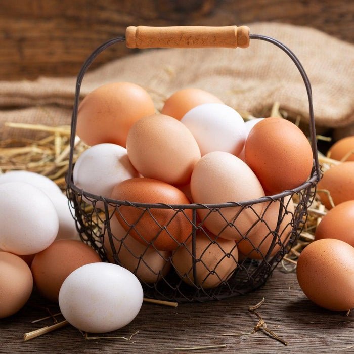 White Eggs vs Brown Eggs - What's the difference?