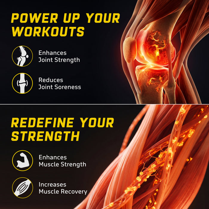 YouWeFit Omega-3 Alpha Recovery Capsules — Wellversed