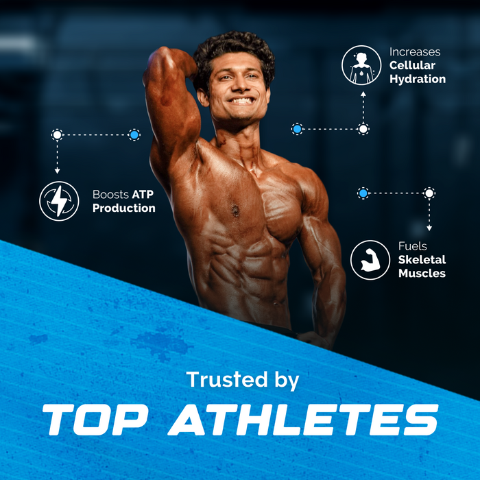 Wellcore - Pure Micronised Creatine Monohydrate | Watermelon Wave (307g, 83 servings)