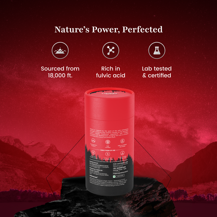 Okami Himalayan Shilajit Honey Sticks | 500mg Shilajit/Stick